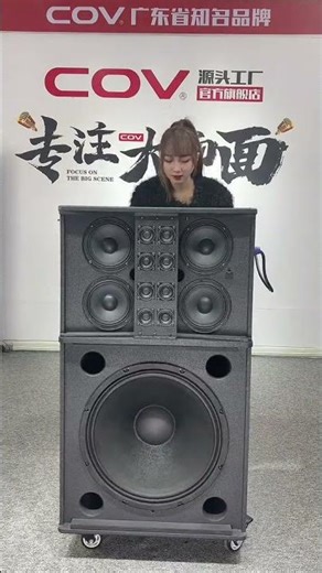 high-power karaoke speakers #dj #speaker #loa #automobile #8bit 7185490365691006265