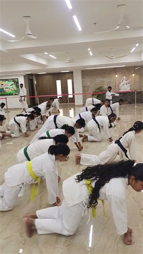 Asai karate: Karate body exercise, Reverse fists push ups for the advance practitioners