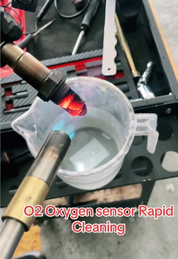 Oxygen Sensor Rapid Cleaning Techniques Guide