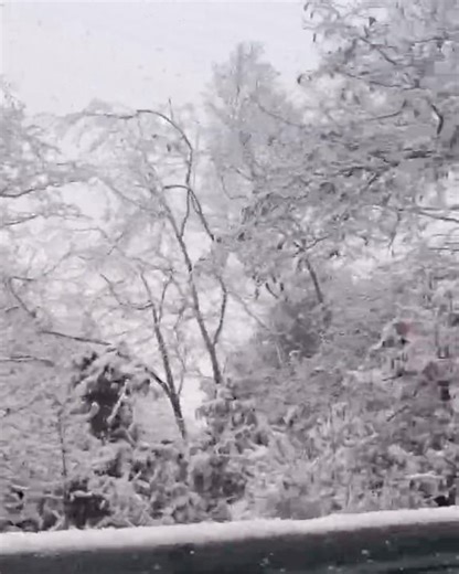 "Chopta's Snowy Bliss: A Winter Wonderland in Uttarakhand 🌨️"