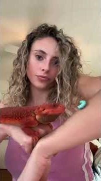 Chunky boy 🍭🍬🐛🧡•••••••••••••• #reptile #reptilesofinstagram #lizard #reptilelover #chameleon