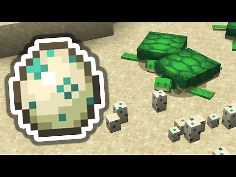 Schildkröteneier bekommen! (Tutorial) ✨Minecraft 1.21 ✨ ErikOnHisPeriod