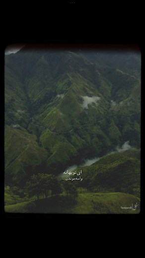 ‎تاسیان|tasiyan‎ | ‎«ای‌تو‌بهانه💚» #معین #نصرلله_معین #ویدیوگرافی #ادیت #جنگل #شمال #جاده #موزیک_ویدیو #موزیک #قدیمی #تکست #ویدیوگرافی #ادیت #ای_تو_بهانه...‎ | Instagram