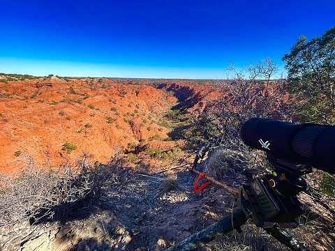West Texas Public Mule Deer - Solo Hunt - Caprock Canyon