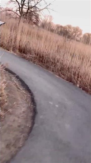 Run through #nature😊 #fun