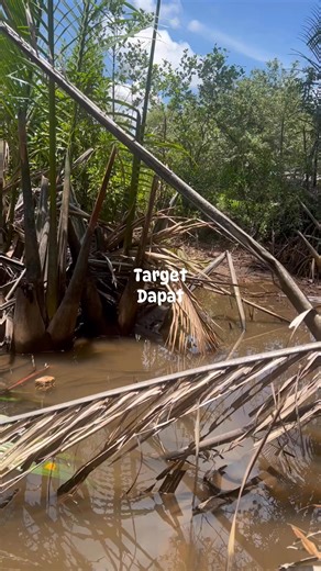 40K views · 435 reactions | Bocil bakau… | Jena ketam live Channel | Facebook