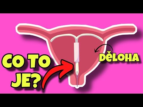 CO JE TO NITRODĚLOŽNÍ TĚLÍSKO A JAK FUNGUJE? (hormonální, nehormonální typ)