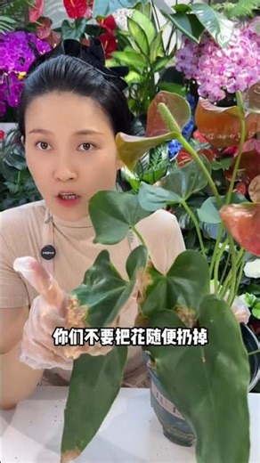 Home Remedies to Fix Flower Leaf Spots - Easy Tips for Vibrant Plants