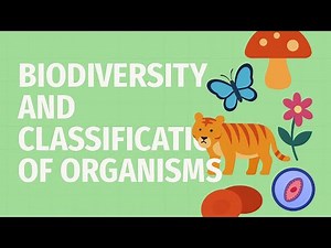 Biodiversity & Classification: The 5 Kingdoms Explained (Monera, Protista, Fungi, Plantae, Animalia)