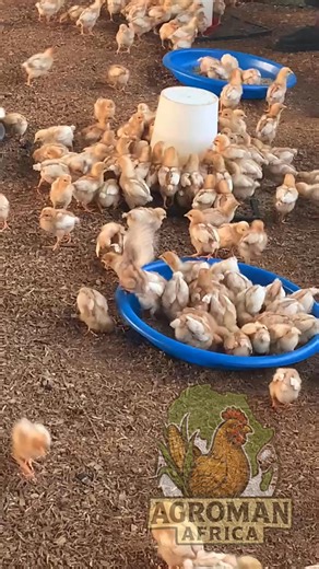 Agroman Africa on Reels