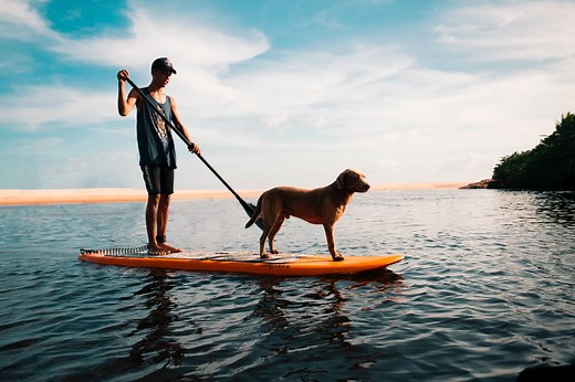 The Best Hard Paddle Boards for Sale 2026
