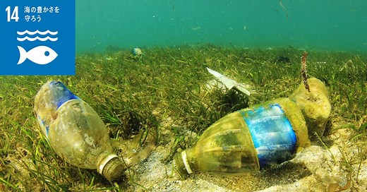 海洋ゴミ問題とは？現状と世界・日本の取り組み、今すぐできる行動を解説 | gooddoマガジン｜寄付・社会課題・SDGsに特化した情報メディア
