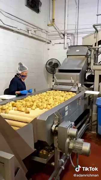 Adam Richman on TikTok