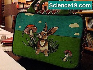 Πώς να φτιάξετε ένα παιχνίδι του πίνακα μαθηματικών 💫 Επιστημονική Και Δημοφιλή Ιστοσελίδα Πολυμέσων. 2025