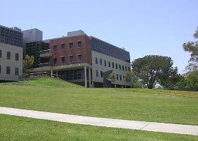 カリフォルニア州立大学ロングビーチ校 CSU Long Beach