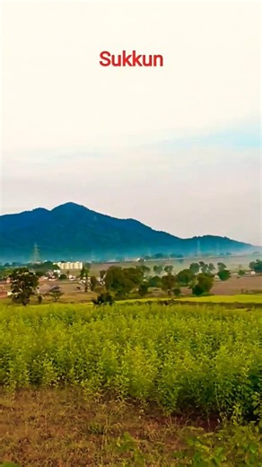 My Prince has come from the wadi of love.... #song #nature #village #forest #shorts