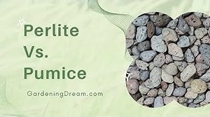 Perlite Vs. Pumice