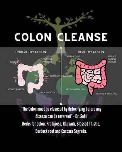 Dr. Sebi, a well-known herbalist and natural healer, advocated for natural ways to cleanse and detoxify the body, particularly the colon. His approach to colon cleansing is rooted in the belief that removing toxins and mucus from the digestive system is essential for optimal health. #alkaherbs #drsebiapproved #drsebirecipes #herbalmedicine #alkalinediet | AlkaHerbs.com