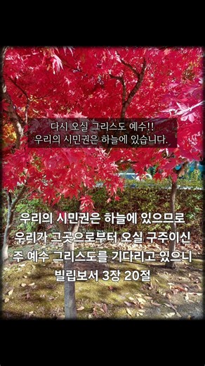 [0713 기도] 오늘 집을 나가기 전 기도합니다. #기도 #말씀 #빌립보서 #묵상