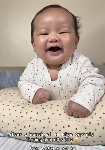 Hipp Organic: The Best Formula for Happy Babies