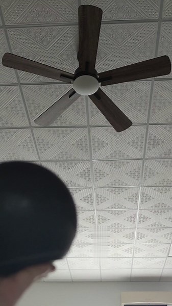 CEME 52 Inch Ceiling Fan with Light and Remote, 10 Speeds Reversible DC Motor Outdoor Ceiling Fan, 3 Light Colors Dimmable Black Ceiling Fan Work with Alexa, Siri & Google Home, Wood & Dark Walnut