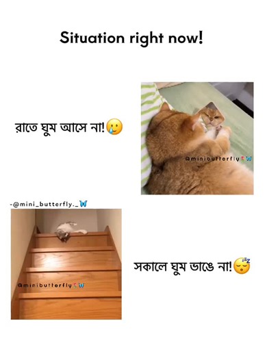 Account Issues and View Problems