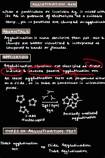 Episode 13 || Agglutination reaction || #mbbs #microbiology #1minseries #notes #theedutricky