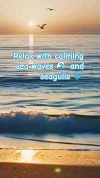 Soothing Sea Waves & Seagulls Sounds for Relaxation 🌊🐦