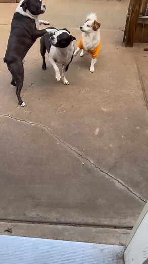 Mike Trujillo on Reels