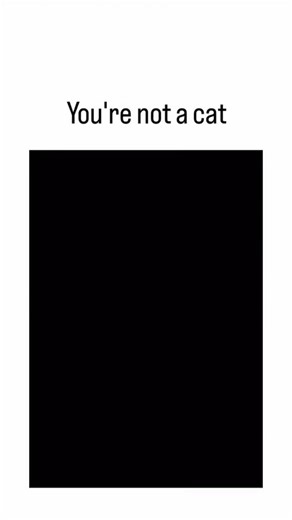 futuristx on Instagram: "The post shares a 15-second video of two cats energetically chasing a toy mouse on a living room floor, with a person laughing from the couch as one cat dramatically flops over, captioned "You're not a cat" to humorously imply the human's failed attempt at joining the play. Uploaded by @NoCatsNoLife_m , a dedicated cat enthusiast account emphasizing joyful pet moments, the clip amassed 14,810 likes and 459,264 views within hours, underscoring cats' viral draw through exa