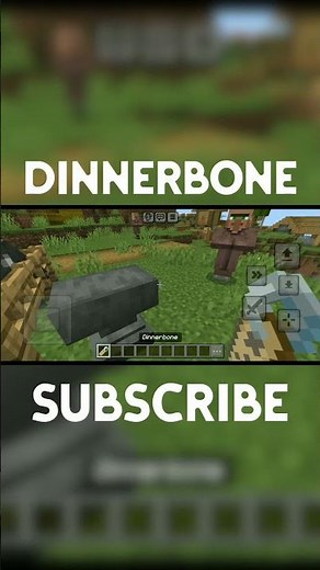 The DINNERBONE name tag | Minecraft