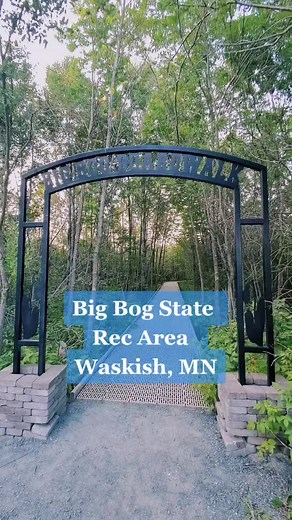 Exploring the Big Bog State Recreation Area in Waskish, MN