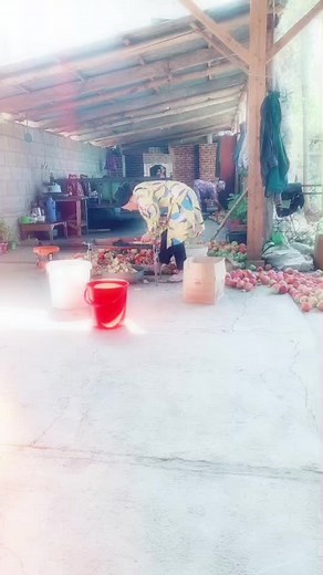 Apple Peeling Tutorial: A Step-by-Step Guide