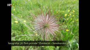 Park prirode Žumberak -Samoborsko gorje jedno je od najljepših prirodnih područja u Hrvatskoj i Europi. Na površini od oko 340 četvornih km isprepliću se duboke doline, brojne rječice i brdski potoci, a ljudi tisućama godina žive u skladu s prirodom. tradicionalnim ruralnim načinom života. Ali sve ih je manje. | Eko zona