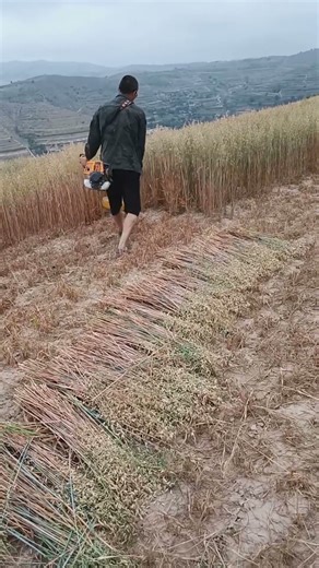Harvesting and Binding into Sheaves by Hand