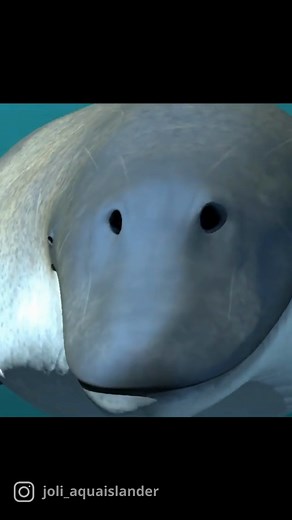 ¿Animal más pesado que la ballena azul antártica? ¡Sí! Montserrat Maussan te lleva a conocerlo y saber más de este extraordinario ser. -Animación Cortesía @joli_aquaislander en IG. #Extraordinario #Oceanos #Animales #JaimeMaussan #Virals #viralvideo #likeit #MeGusta | Jaime Maussan