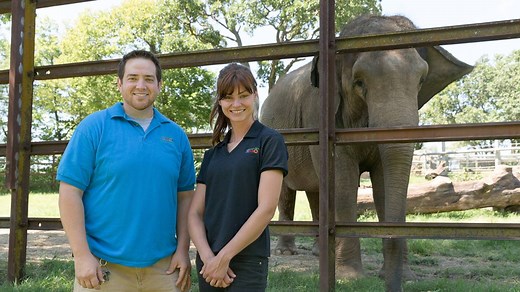 Springfield’s Dickerson Park Zoo opened its doors in 1922 and has remained true to its roots ever since. Zookeepers here make it a point to interact with the public and ensure a memorable experience. See more True Talk stories here ☞ https://www.springfieldmo.org/truetalk | I Love Springfield, MO!