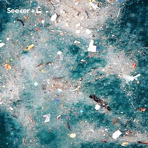 532K views · 3.3K reactions | The Great Pacific Garbage Patch is now...