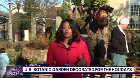 U.S. Botanic Garden’s annual holiday display