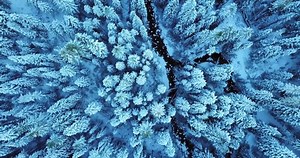 Snow Winter Ice Cold Weather Tree Stock Footage Video (100% Royalty-free) 1061787271 | Shutterstock