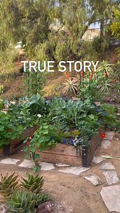 6.6K views · 1.6K reactions | The benefits are big… The purpose...