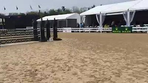 2.3K views · 153 reactions | VIDEO EXCLUSIVE: Walk the Rolex Kentucky Three-Day Event stadium course with Elisa Wallace! | Elisa Wallace Eventing | Facebook