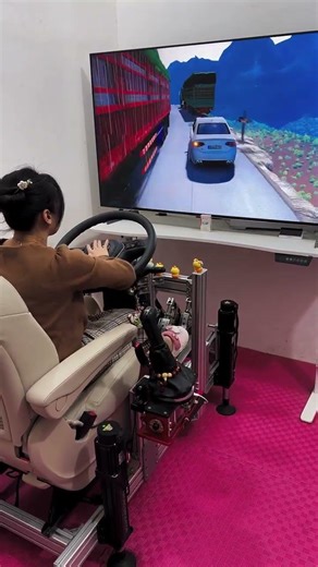 Immersive Home-Based Commercial Vehicle Simulation System