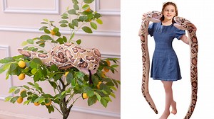 Watch Lifelike Giant Snake Stuffed Cobra Plush Toy on Amazon Live