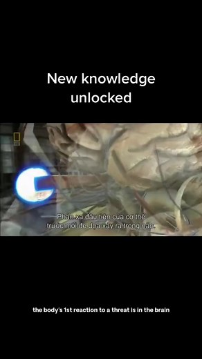 Fight or flight response explained. 🤔 #documentary #fightorflight #explanation #explained #knowledge #newknowledge #new #learnsomethingnew #themoreyouknow