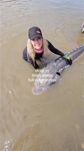 Hook into a giant Fraser River sturgeon! #sturgeonfishing #fishingshorts