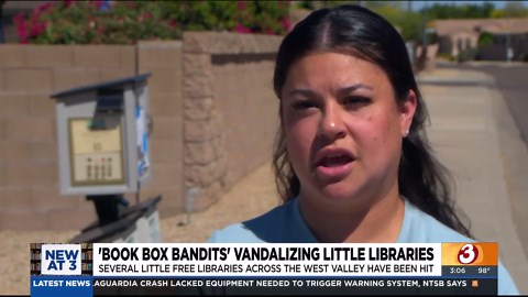 'Book box bandits' vandalize Phoenix-area little free libraries