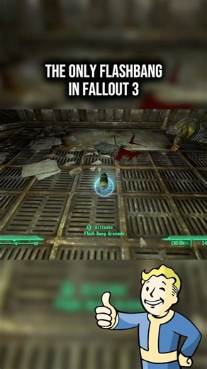 The ONLY flashbang in FALLOUT 3