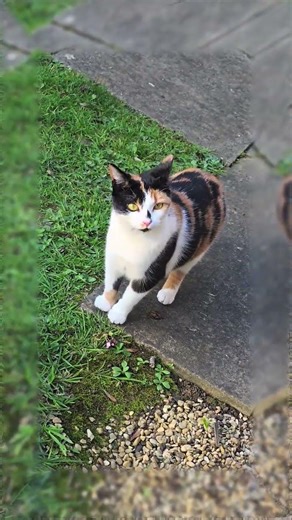 Spring again 🥰🥰🥰😘😘😘