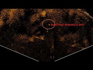 Lowrance Active Target in Scout mode while Trolling Salmon on Columbia River